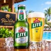 Castle Lite Lager-Dumpy (300ml)
