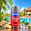 Ginger Ale (330ml)